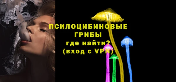 амф Верея