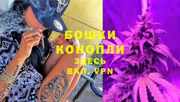 амф Верея