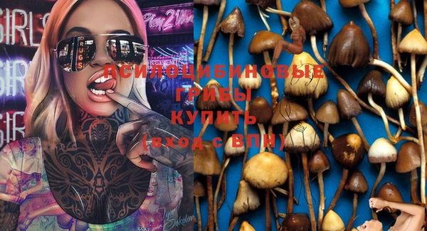 амф Верея