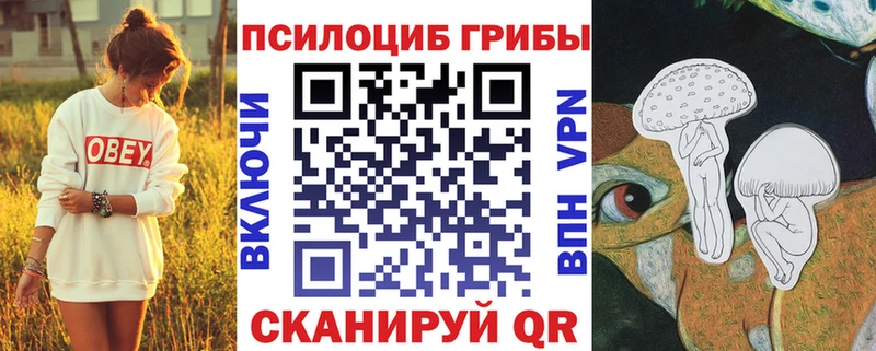 закладки  ОМГ ОМГ как зайти  Галлюциногенные грибы ЛСД  Рыбинск 